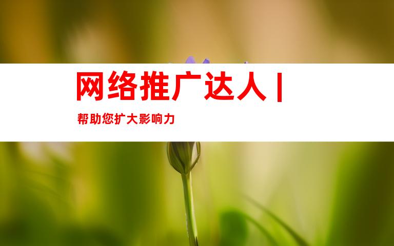 网络推广达人 | 帮助您扩大影响力