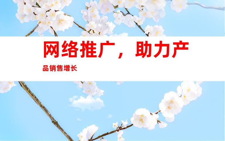 网络推广，助力产品销售增长
