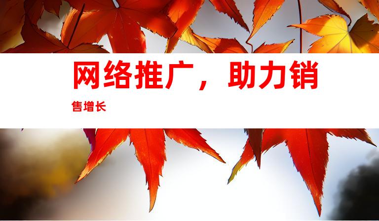 网络推广，助力销售增长