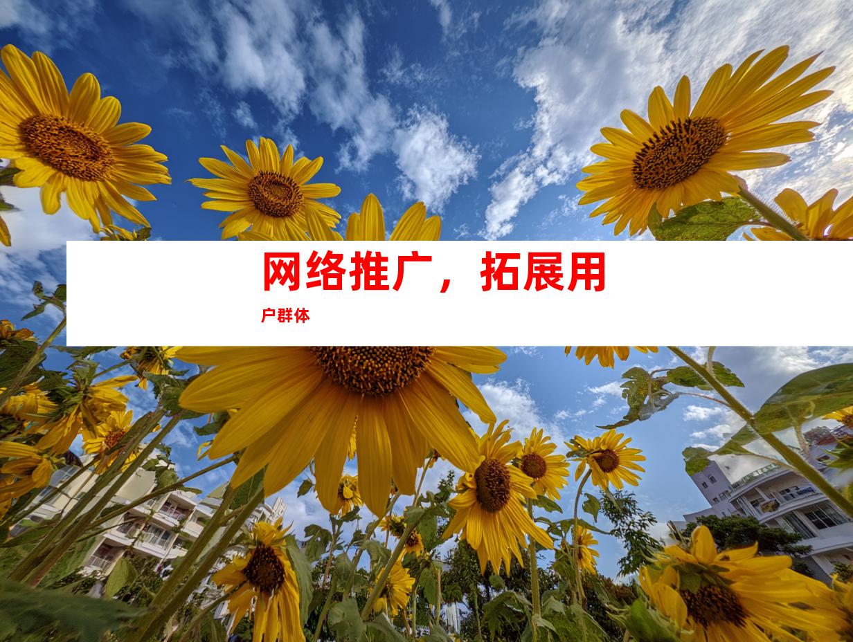 网络推广，拓展用户群体