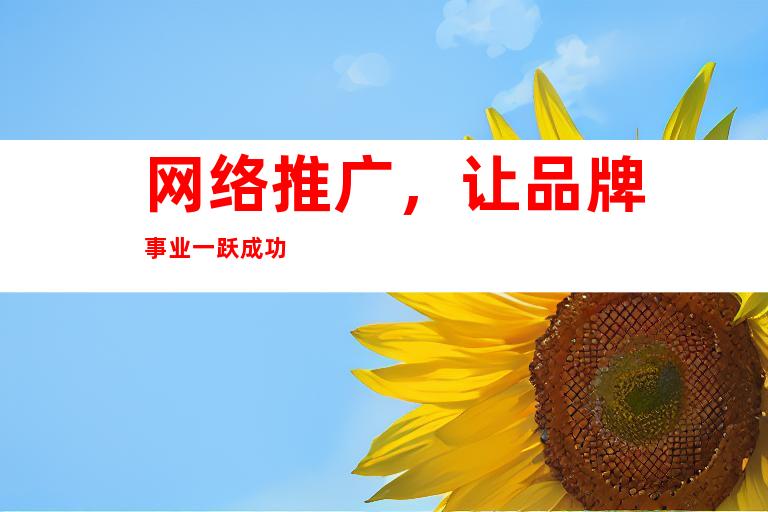网络推广，让品牌事业一跃成功