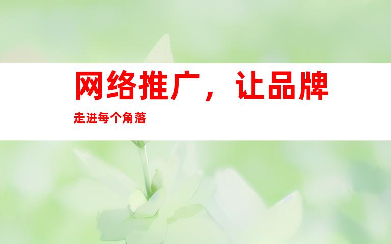 网络推广，让品牌走进每个角落