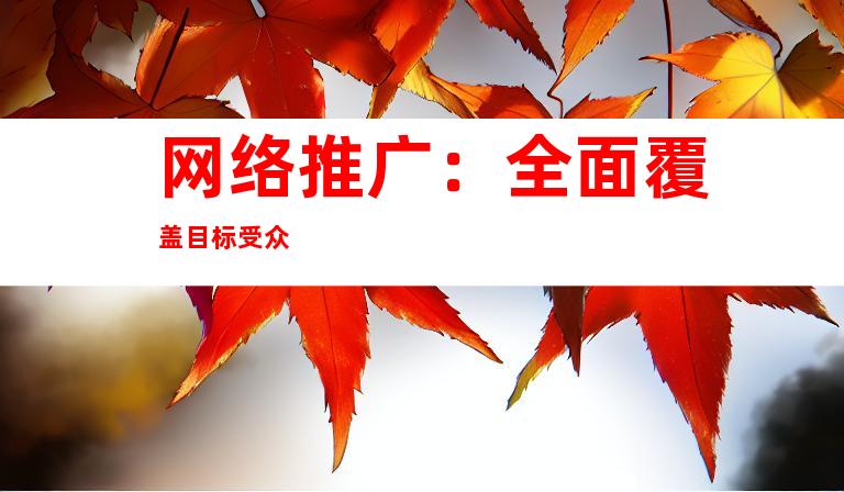 网络推广：全面覆盖目标受众