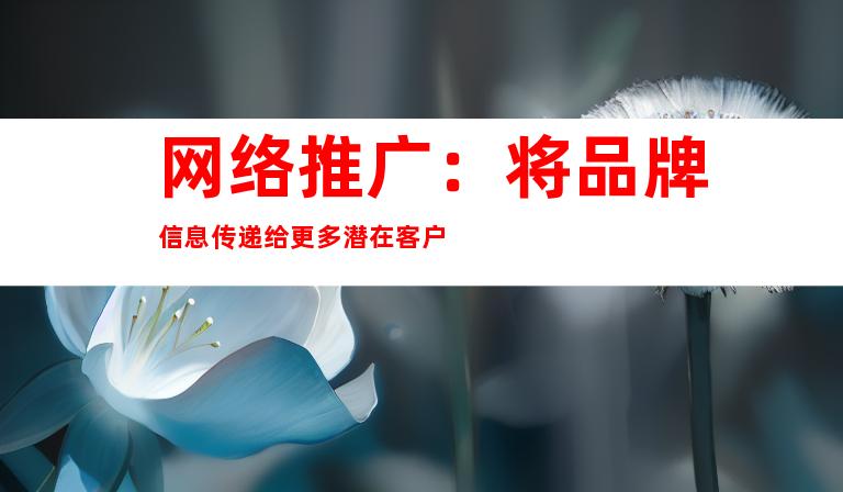 网络推广：将品牌信息传递给更多潜在客户