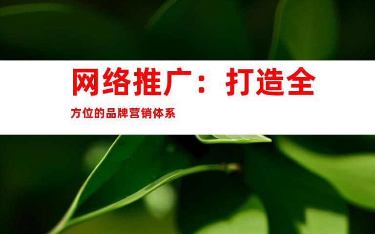 网络推广：打造全方位的品牌营销体系