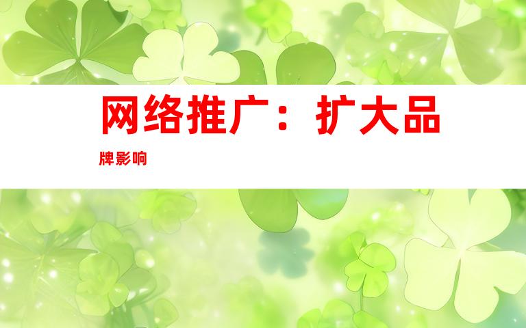 网络推广：扩大品牌影响