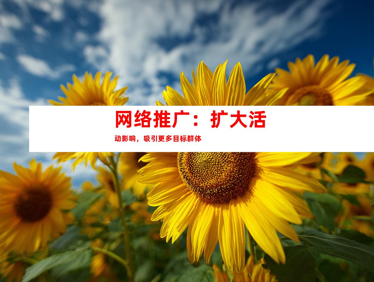 网络推广：扩大活动影响，吸引更多目标群体