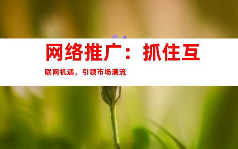 网络推广：抓住互联网机遇，引领市场潮流