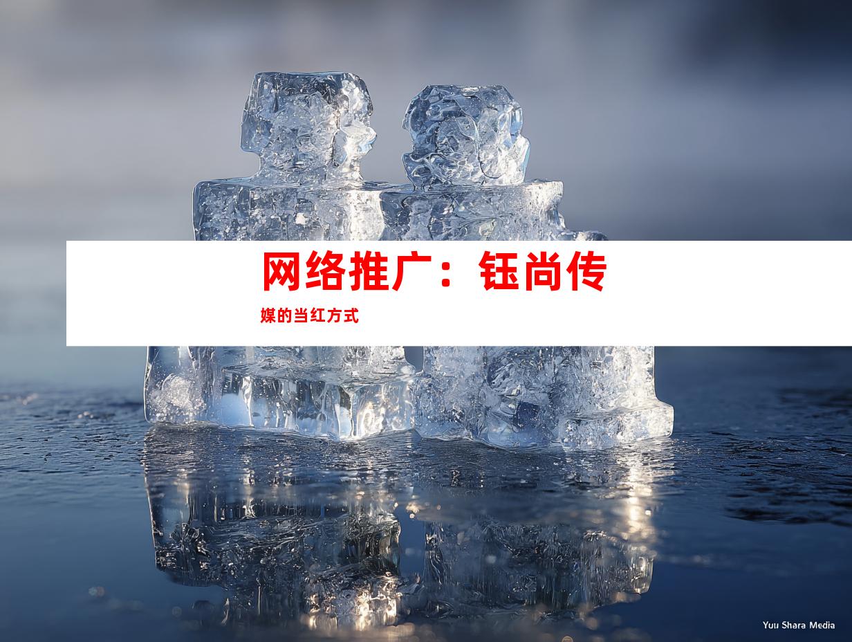 网络推广：钰尚传媒的当红方式