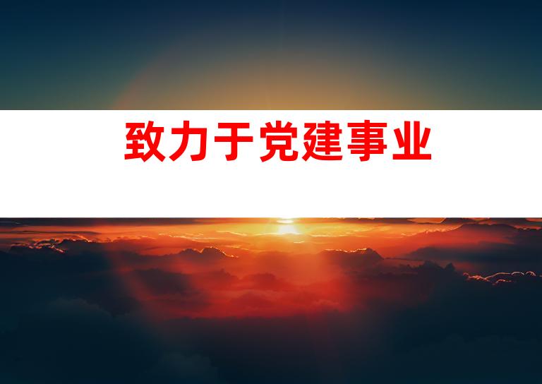 致力于党建事业