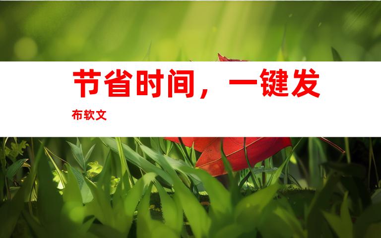 节省时间，一键发布软文