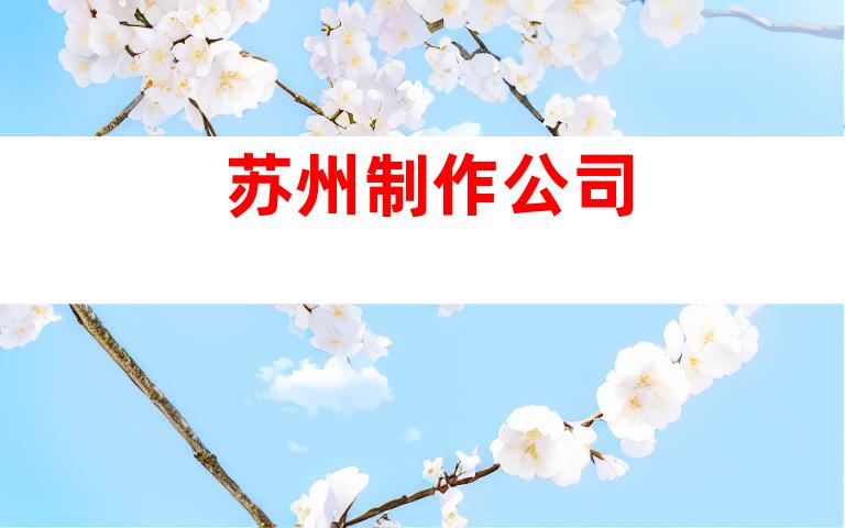 苏州制作公司