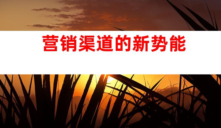 营销渠道的新势能
