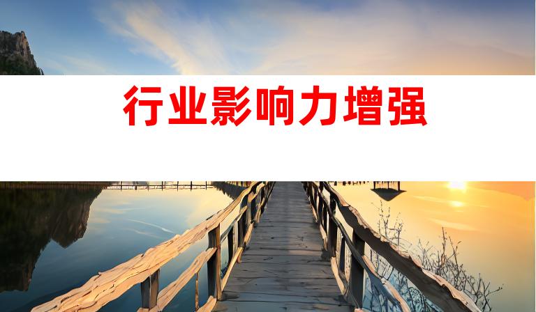 行业影响力增强