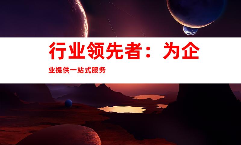 行业领先者：为企业提供一站式服务