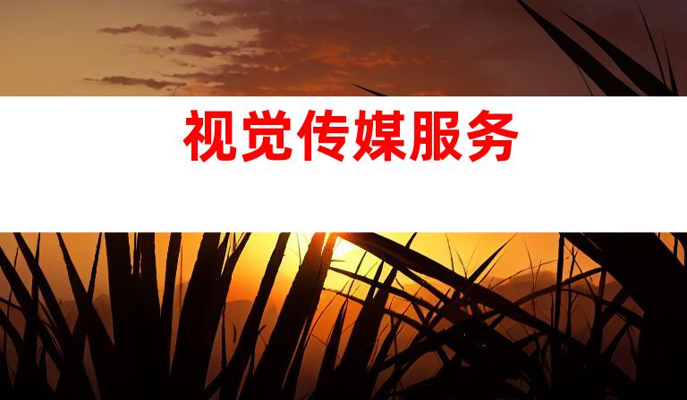 视觉传媒服务