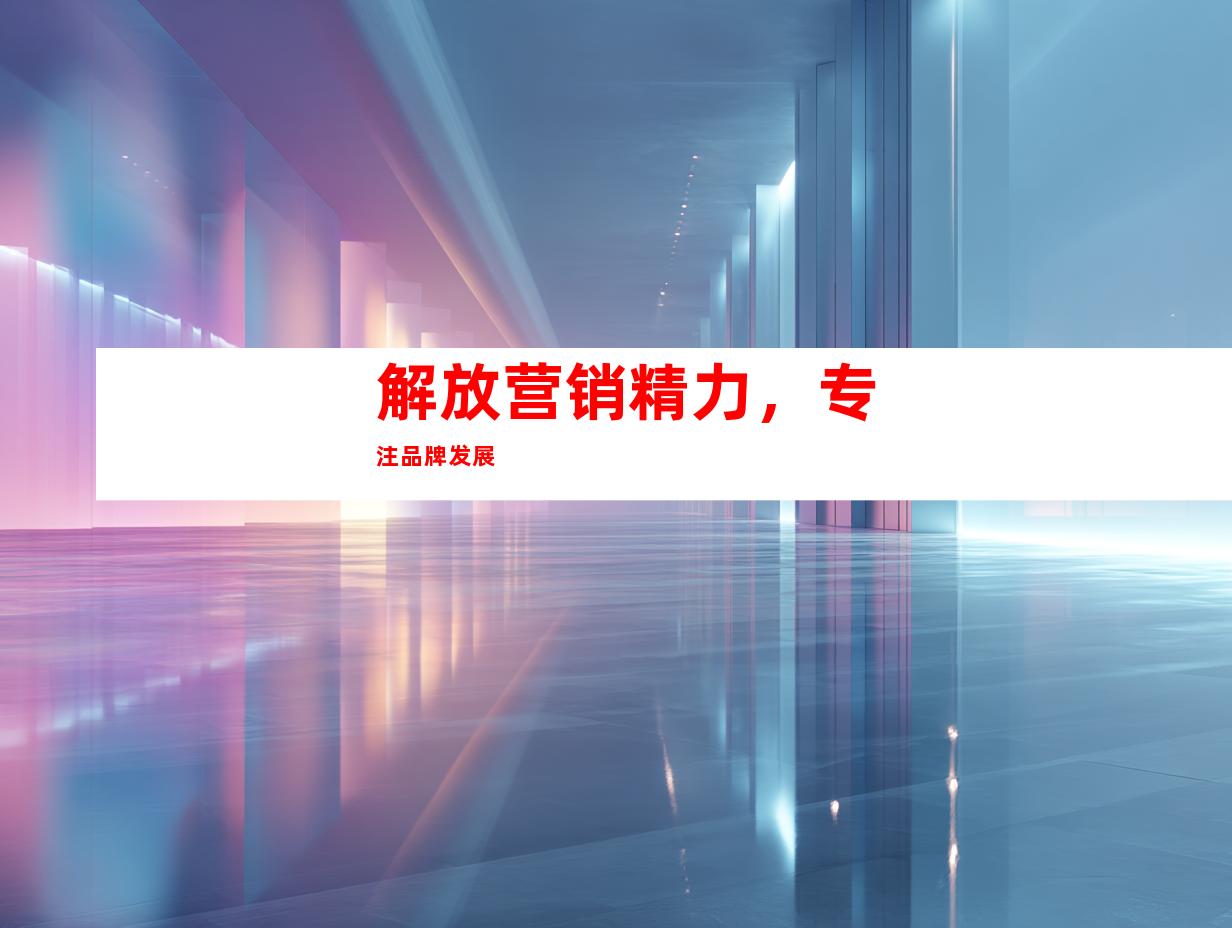 解放营销精力，专注品牌发展