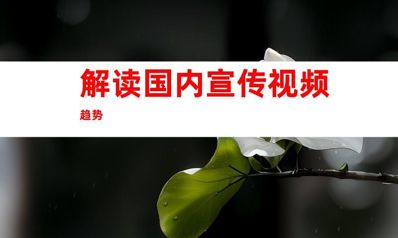 解读国内宣传视频趋势