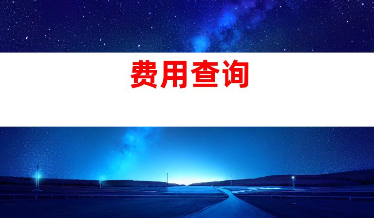 费用查询