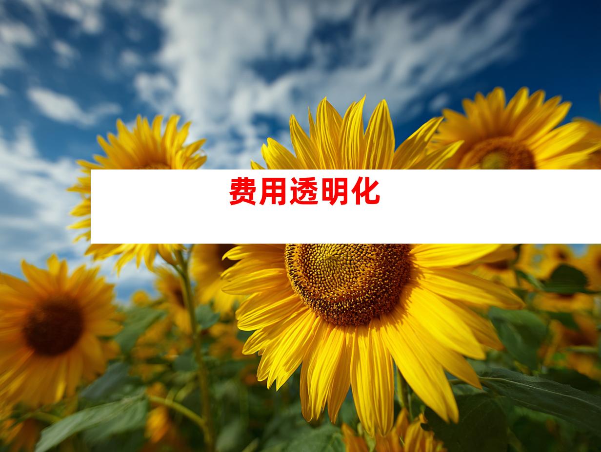 费用透明化