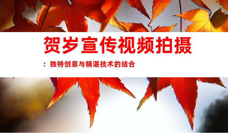 贺岁宣传视频拍摄：独特创意与精湛技术的结合