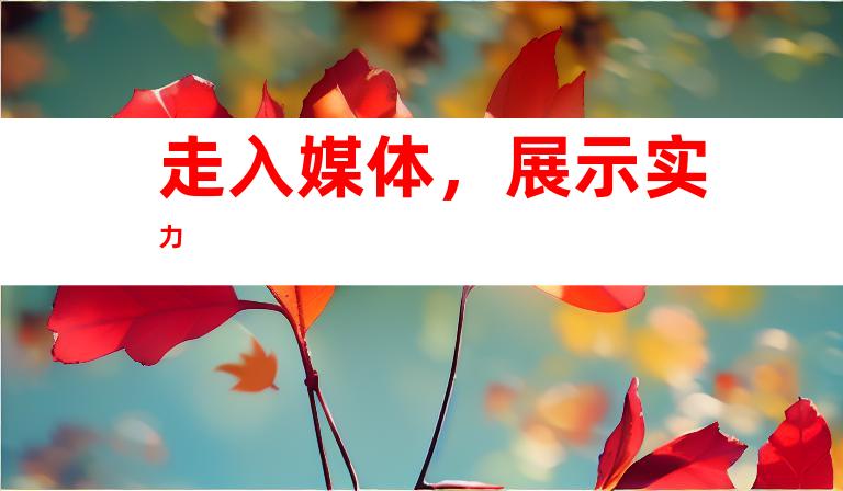 走入媒体，展示实力