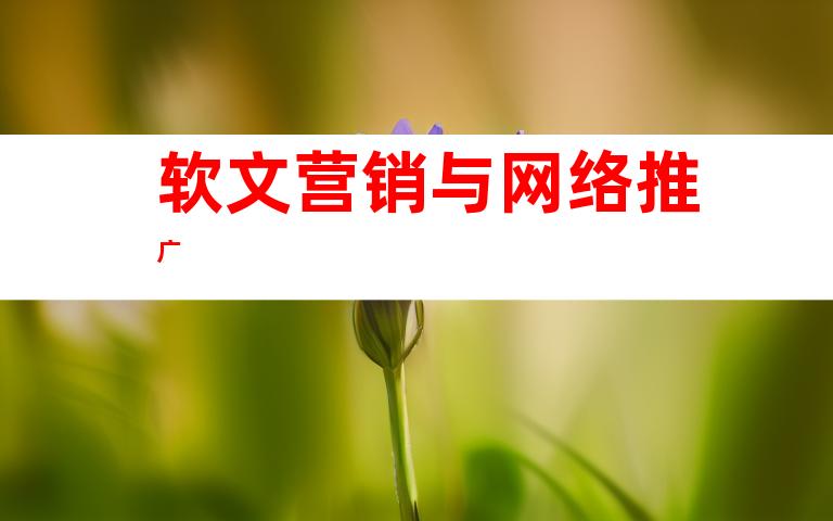 软文营销与网络推广