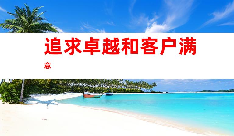 追求卓越和客户满意