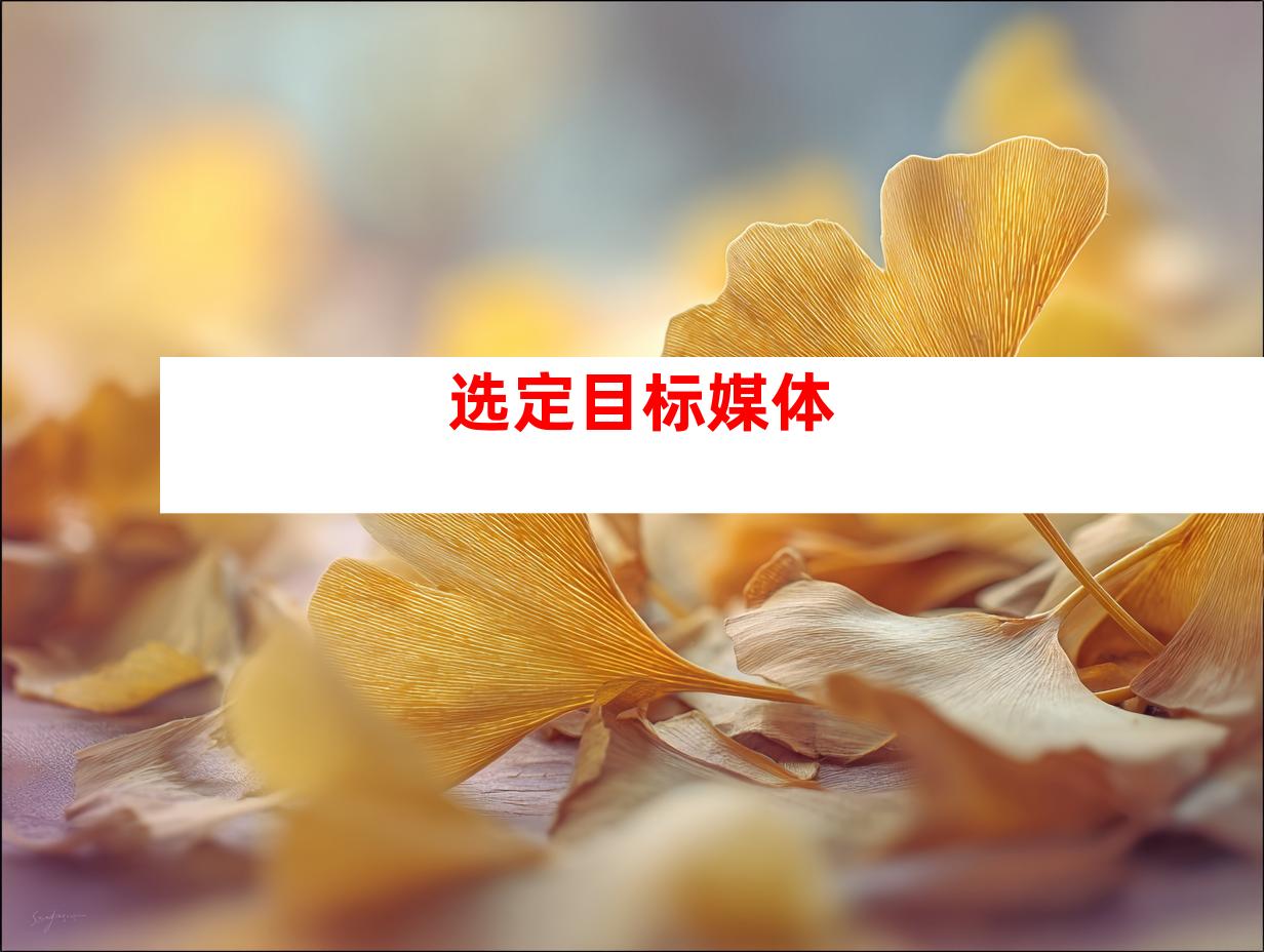 选定目标媒体