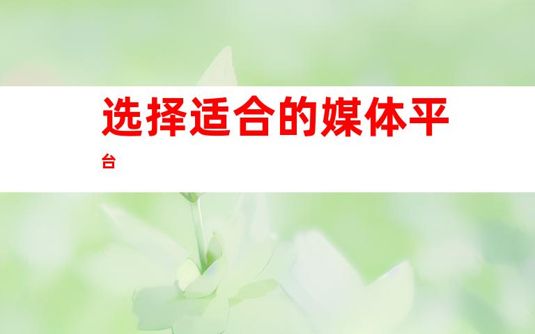 选择适合的媒体平台