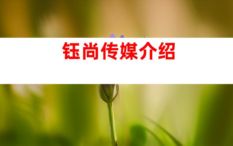 钰尚传媒介绍