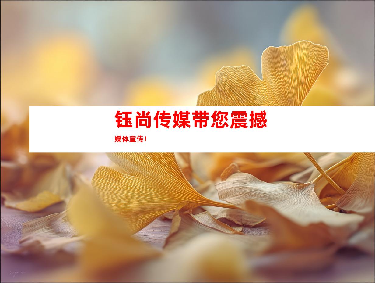 钰尚传媒带您震撼媒体宣传！
