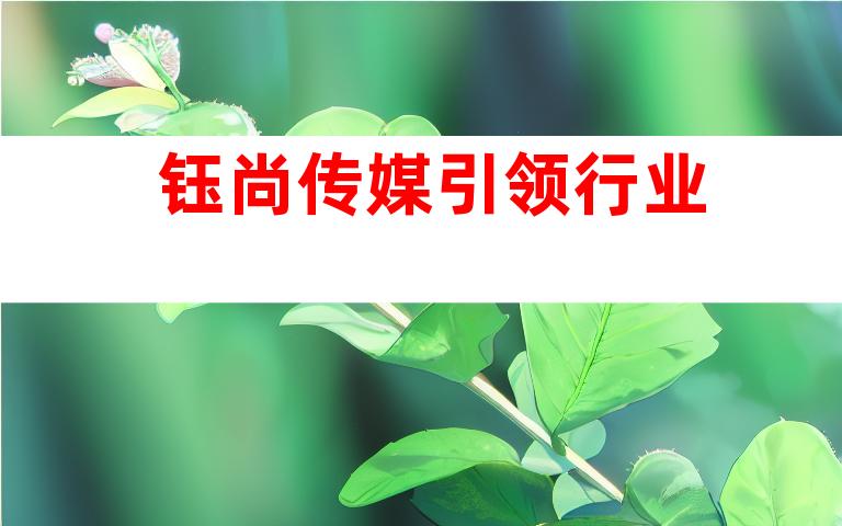钰尚传媒引领行业