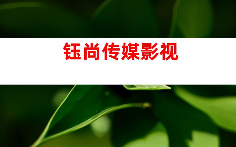 钰尚传媒影视