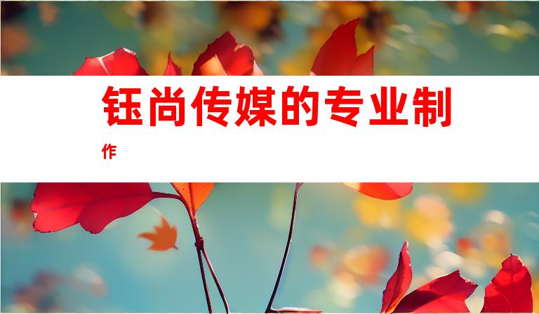 钰尚传媒的专业制作