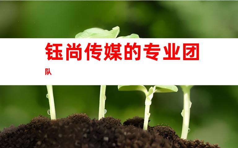 钰尚传媒的专业团队