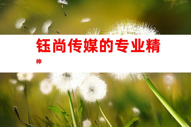 钰尚传媒的专业精神