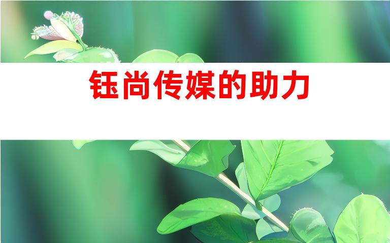 钰尚传媒的助力