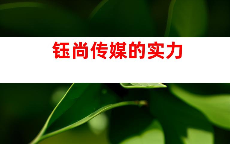 钰尚传媒的实力