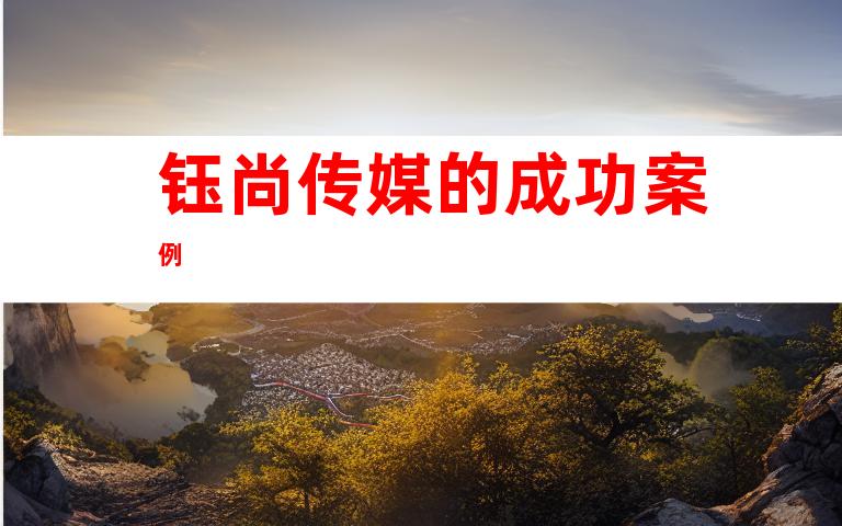 钰尚传媒的成功案例