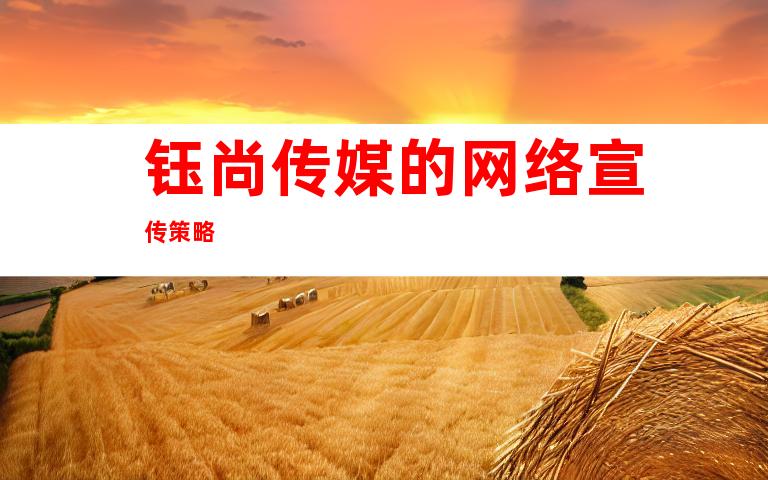 钰尚传媒的网络宣传策略