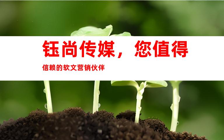 钰尚传媒，您值得信赖的软文营销伙伴
