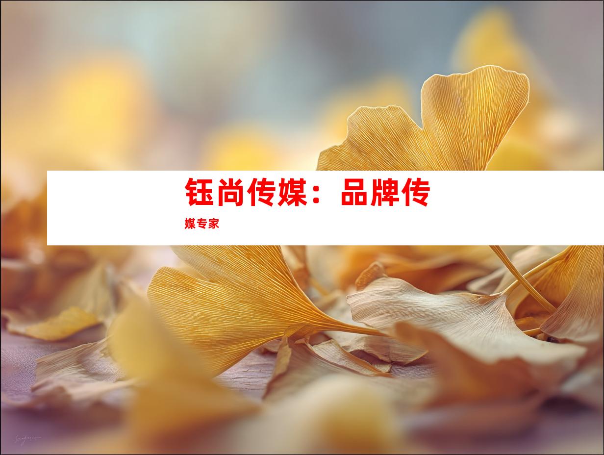 钰尚传媒：品牌传媒专家