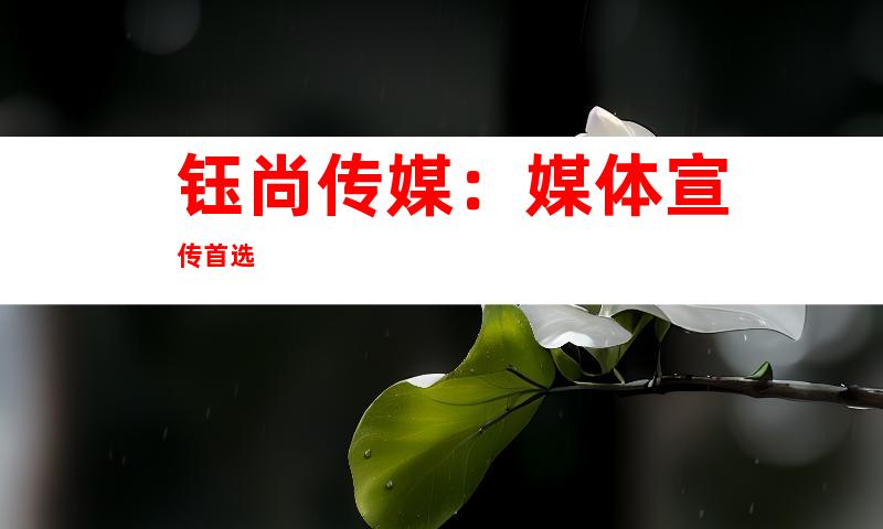 钰尚传媒：媒体宣传首选