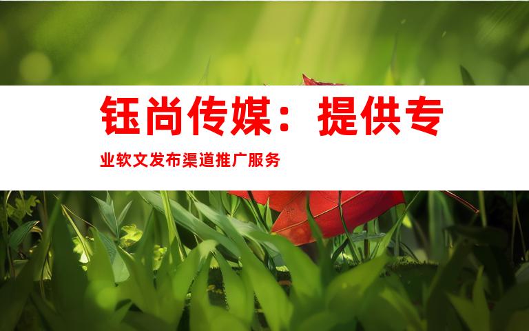 钰尚传媒：提供专业软文发布渠道推广服务