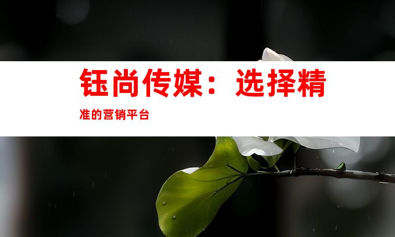 钰尚传媒：选择精准的营销平台