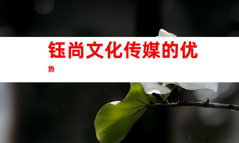 钰尚文化传媒的优势