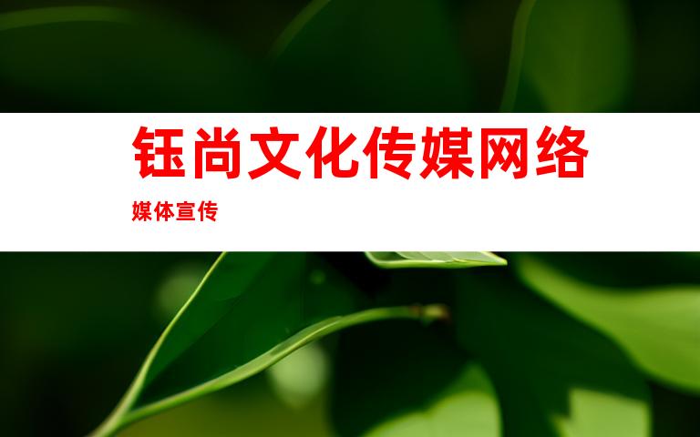 钰尚文化传媒网络媒体宣传