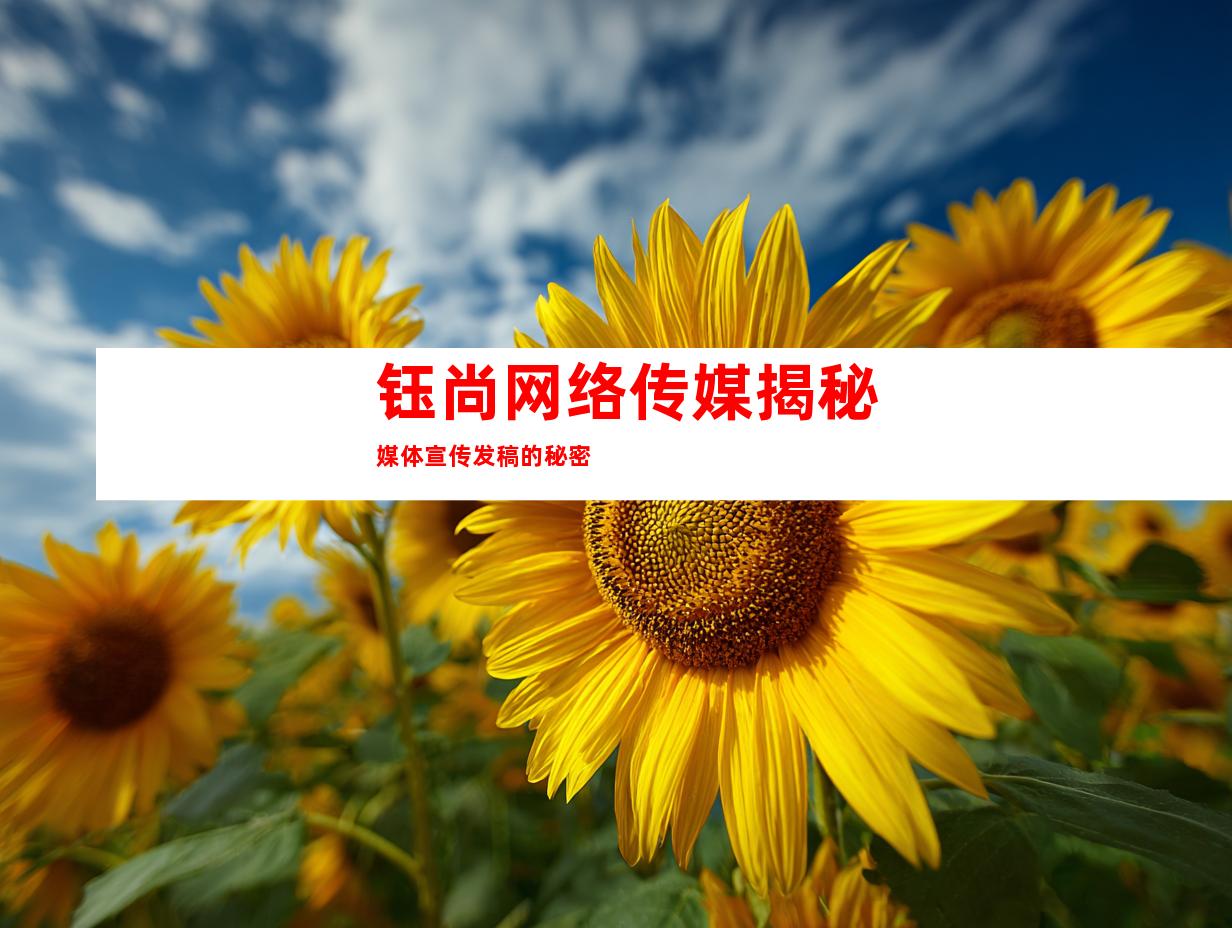 钰尚网络传媒揭秘媒体宣传发稿的秘密