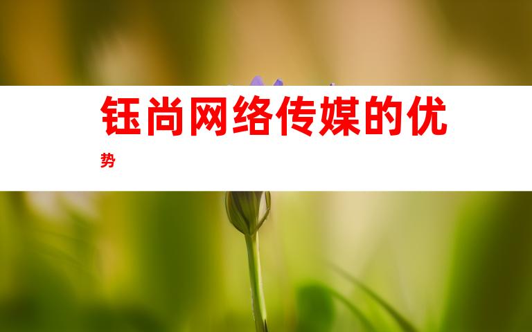 钰尚网络传媒的优势